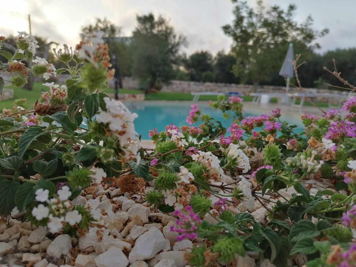 Casale dolina verde Ostuni Dış mekan fotoğraf
