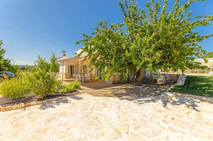 Casale dolina verde Ostuni Dış mekan fotoğraf